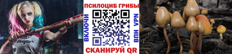 Галлюциногенные грибы мицелий  Уссурийск 