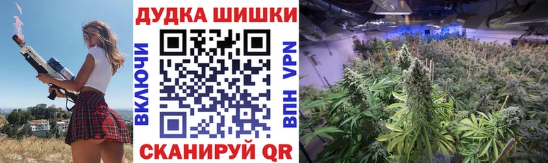 hydra как зайти  дарнет шоп  Уссурийск  Бошки марихуана ГИДРОПОН 